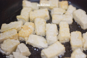 東南亞風味小炒：馬來炒豆腐@壞露露的露臺食光的做法 步驟3