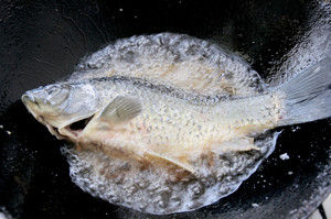 清燉鯽魚湯 三個關鍵步驟讓你輕松燉出湯濃味鮮色白似奶的鯽魚湯的做法 步驟2