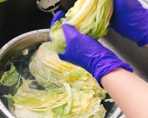 韓式辣白菜泡菜的做法 步驟4